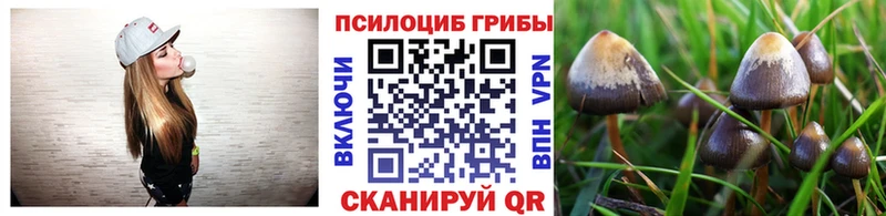 Псилоцибиновые грибы MAGIC MUSHROOMS  блэк спрут онион  Остров  магазин продажи  